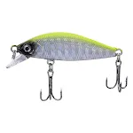 E green back silver body