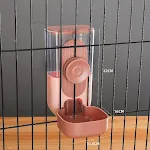 BP