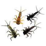 miniatures image - 1