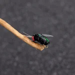 miniatures image - 0