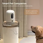 Japanese Standard