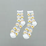 White Big Daisy