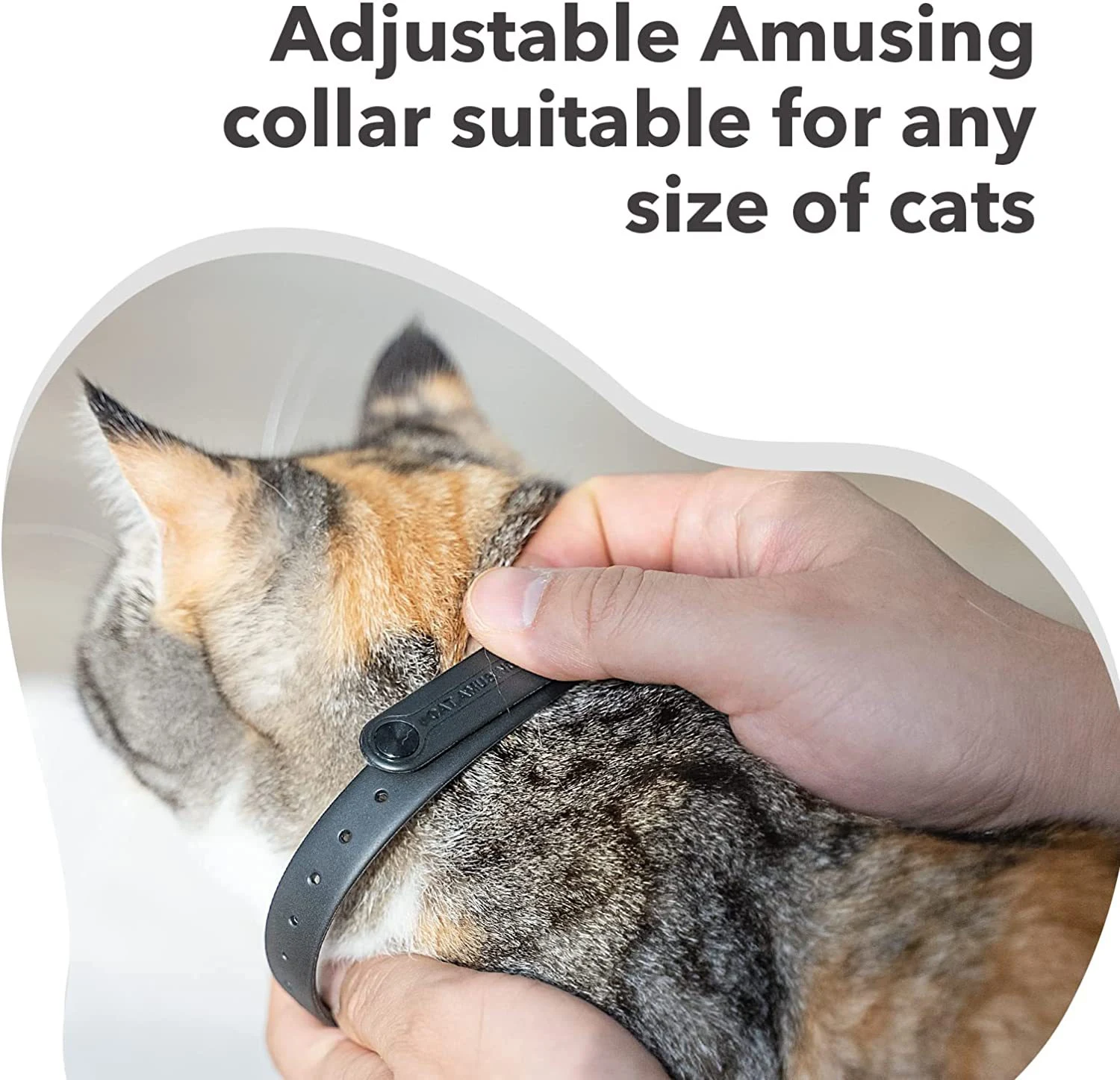 product image - 13