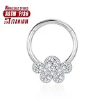 Bh113 Silver