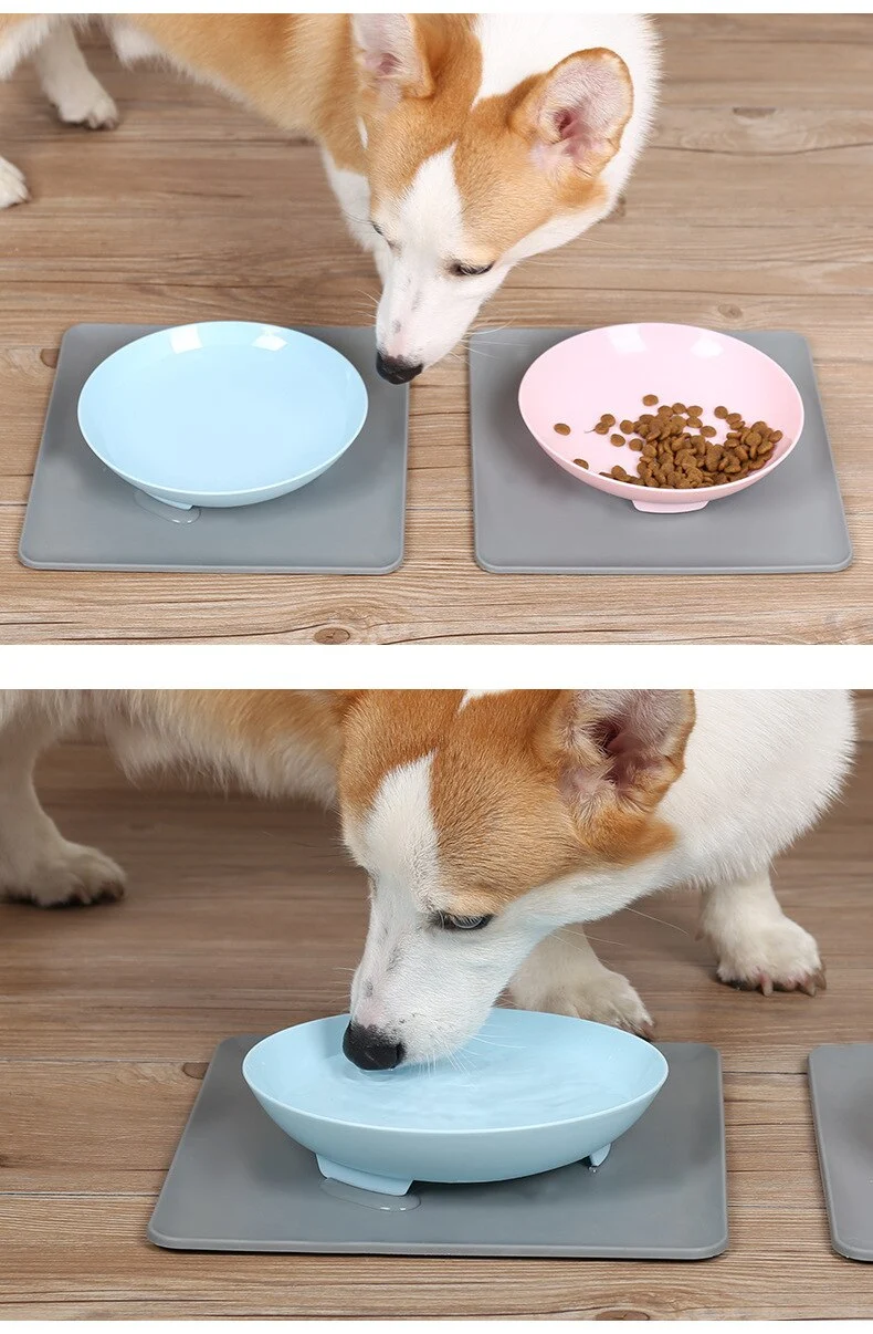 Title 2, Non-slip pet bowl. Provides stability, prevents...