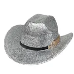 Flat Top D Silver