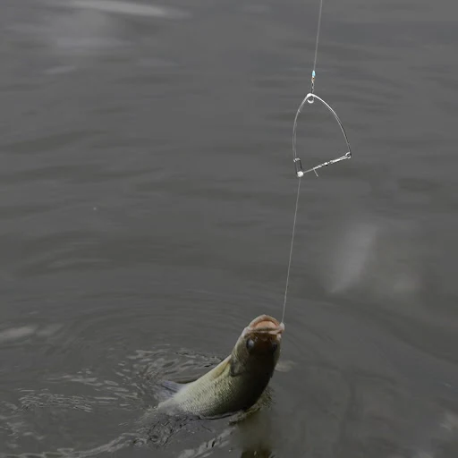 Title 3, Pesca fácil com o Anzol Mágico! Desfrute da pes...