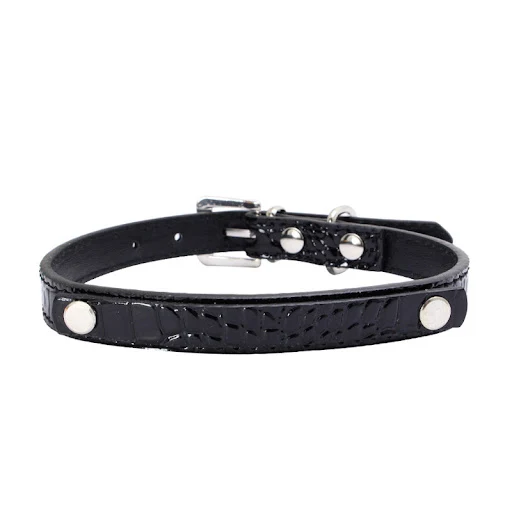 Title 13, DIY Collar con Letras para Perros Personalizabl...