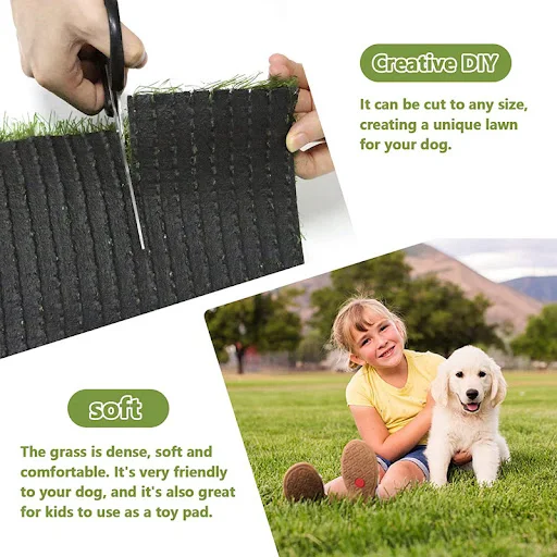 Title 3, Pet Lawn Mat Profesional Toilet Solución higién...