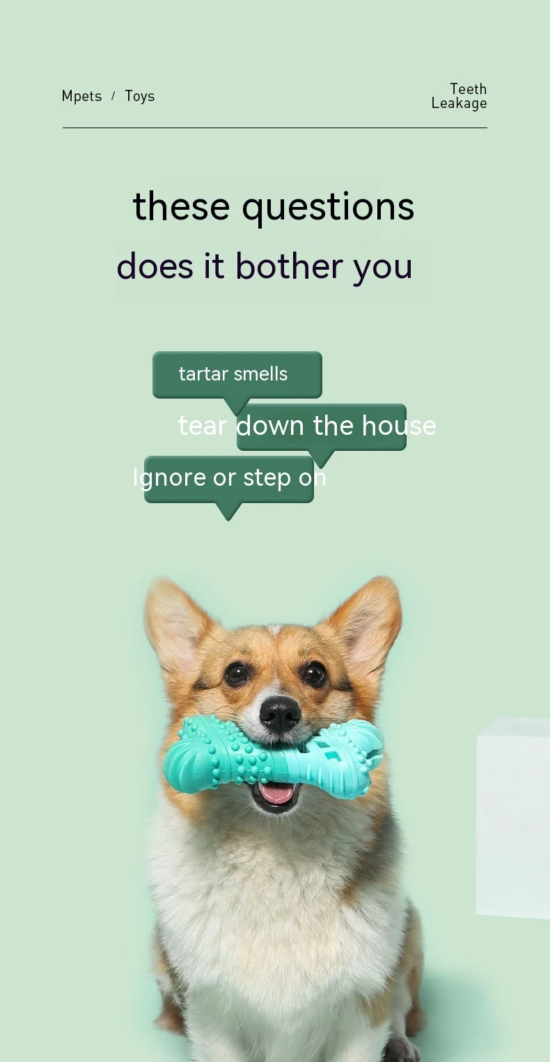 Title 10, Dog Toy
