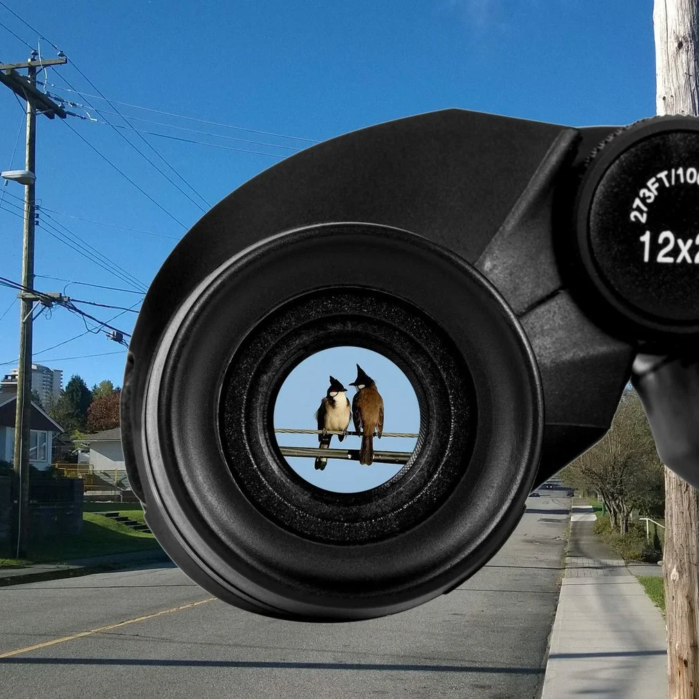 Title 4, Compact Binoculars with Clear Low Light Vision ...