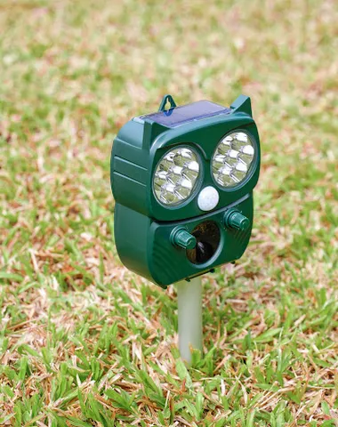 Image product - 2