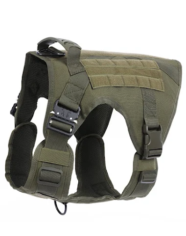 Image product - 3