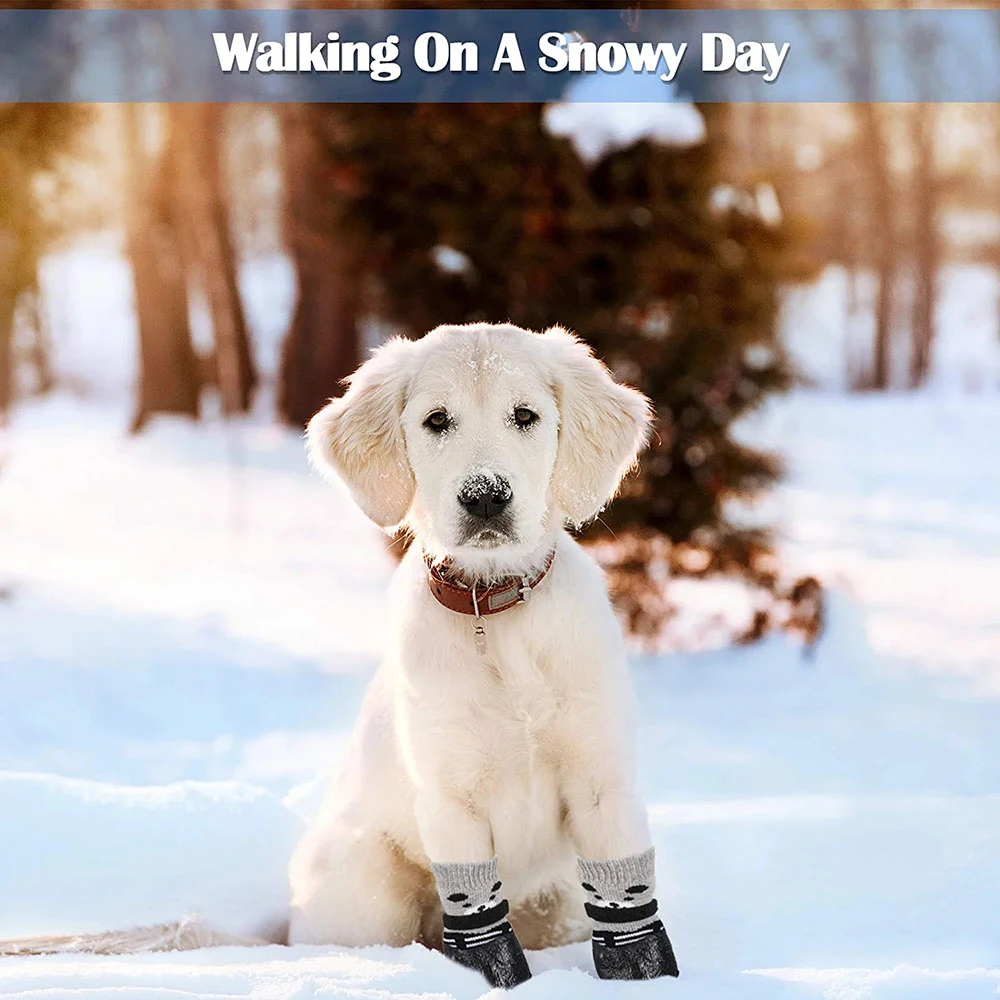Title 5, Dog Cat Boots Shoes Socks Waterproof Dog Shoes ...