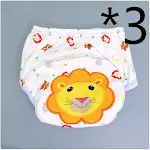 3pcs lion