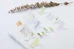 miniatures image - 0