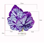 Colorful Purple