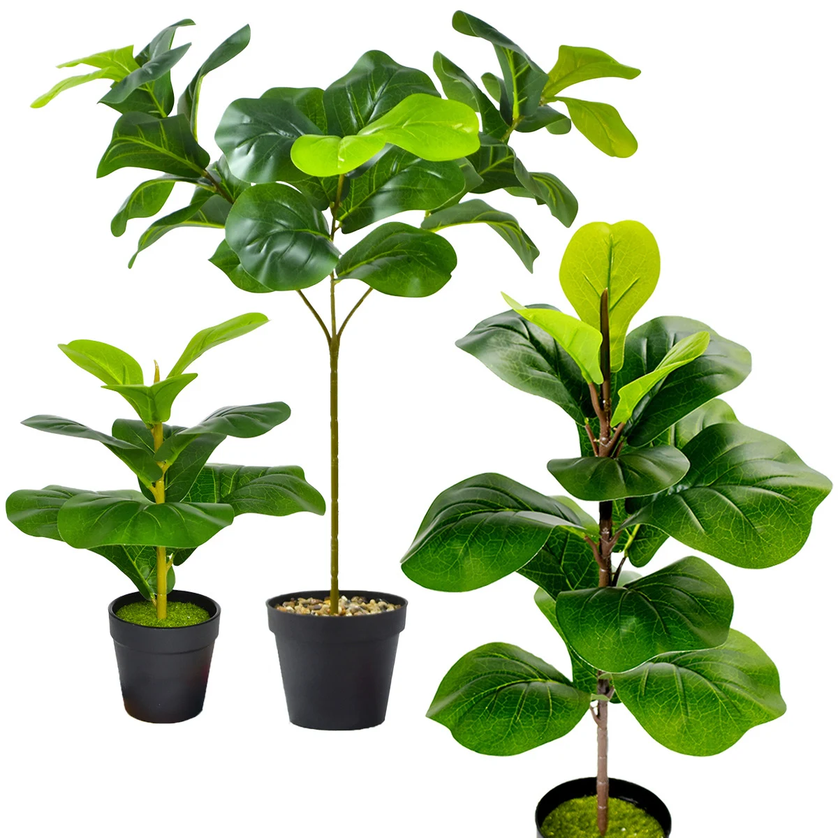 product image - 8