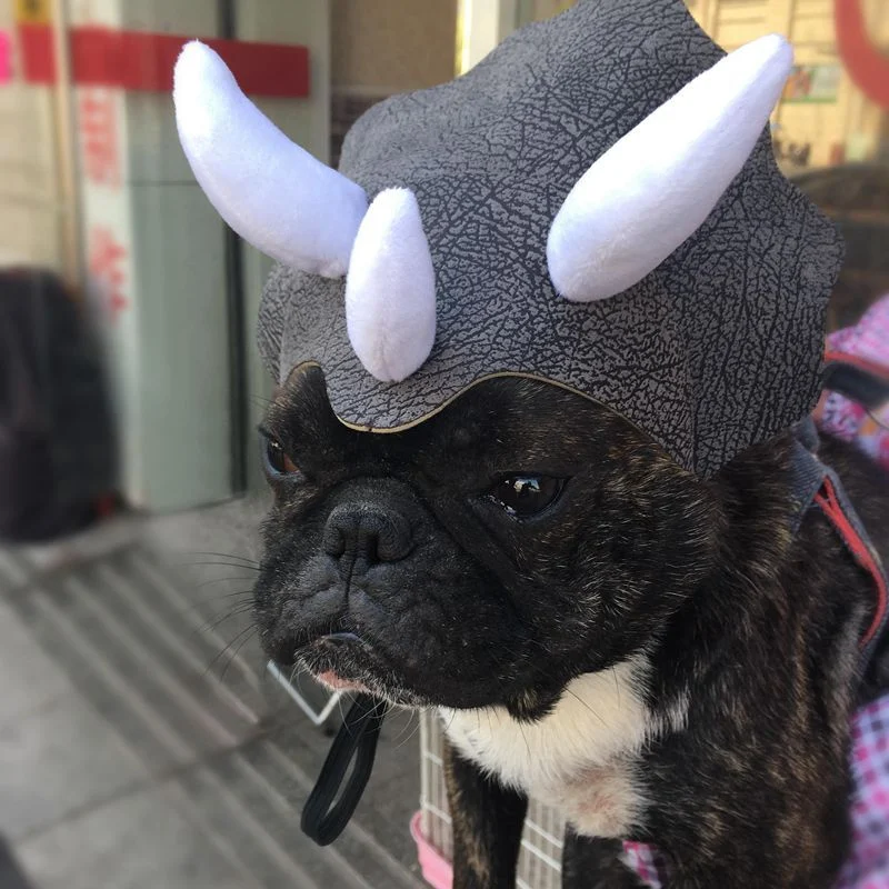 Pet Triceratops Dinosaur Hat for Dogs and Cats Transform your pet into a cute dino! Fun headgear, costume, and transform — photo 5