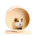 miniatures image - 0