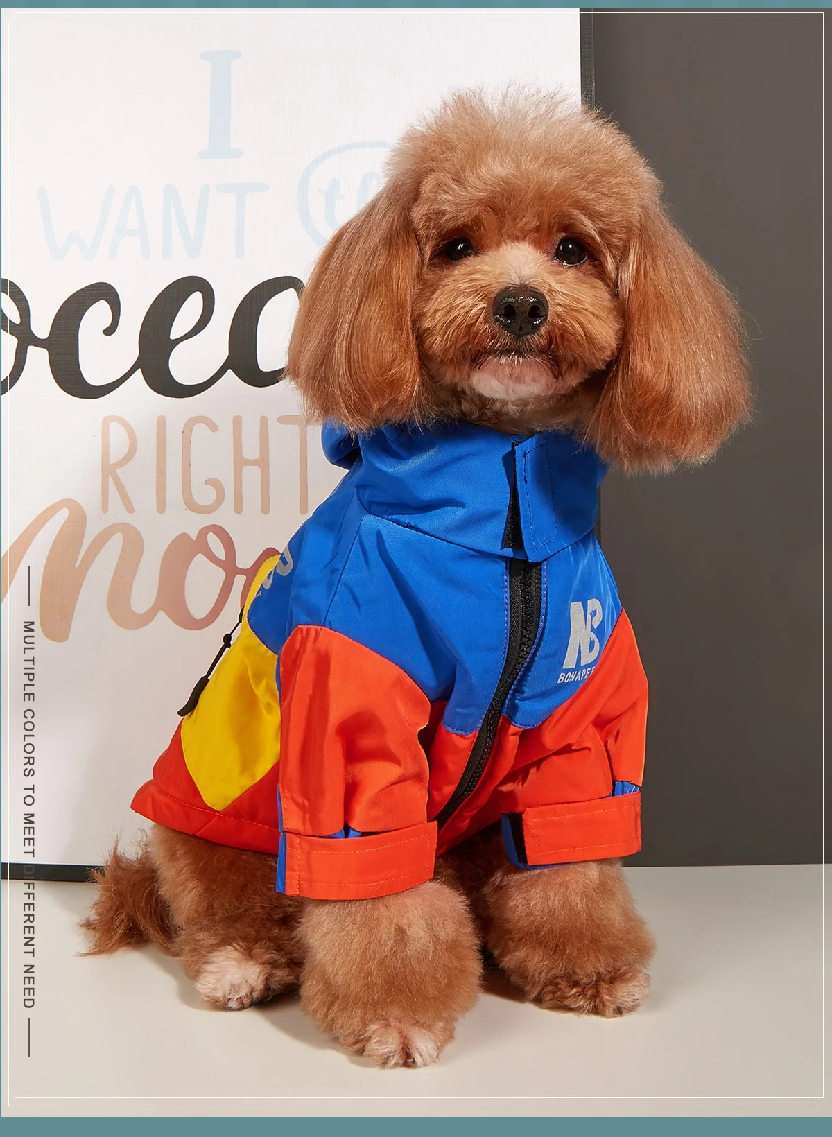 Title 10, Dog Clothes Jacket Autumn And Winter Waterproof...