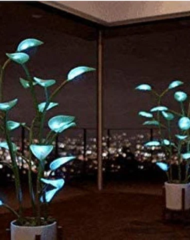 Image product - 2