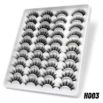 H003