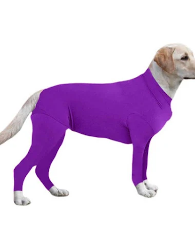Image product - 0