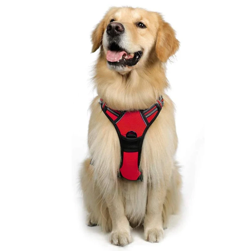 product image - 11