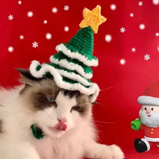 Pet Christmas hat Cat handmade 3D wool Christmas hat Dog headwear Birthday photo Cute jewelry Christmas tree — photo 1