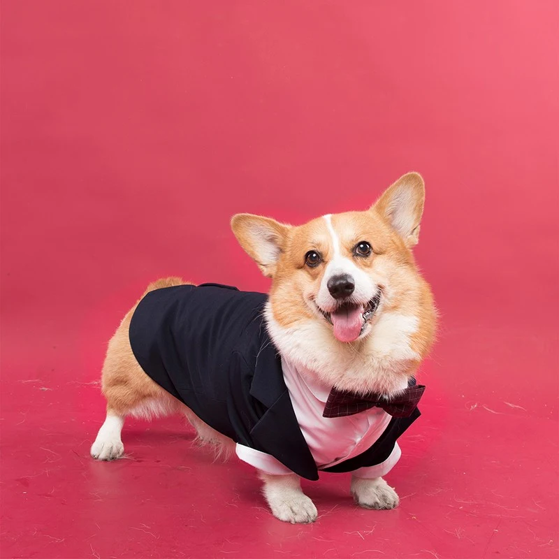 Pet Dog Suit Swallowtail Dress Shirt – Dress your dog in style. Perfect for special occasions, this elegant and comforta — photo 2