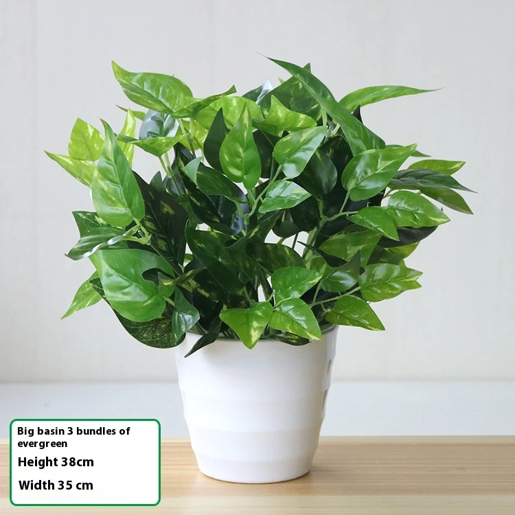 product image - 22