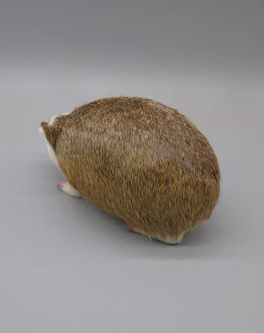 Image product - 1