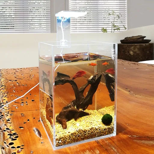 Acrylic Transparent Fish Tank Shatterproof Desktop Small Rectangular Aquatic Plants Tank Reptiles Tank Aquarium Accessor — photo 6