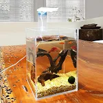 Acrylic Transparent Fish Tank Shatterproof Desktop Small Rectangular Aquatic Plants Tank Reptiles Tank Aquarium Accessor — photo 6