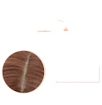 miniatures image - 0