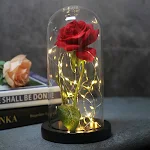 miniatures image - 11