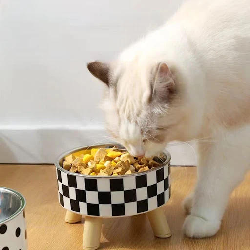 4-corner Anti-neck Spine Stainless Steel Cat Bowls With Raised Stand Cat Small Dog Food and Water Bowls Nonslip Pet Feed — photo 4