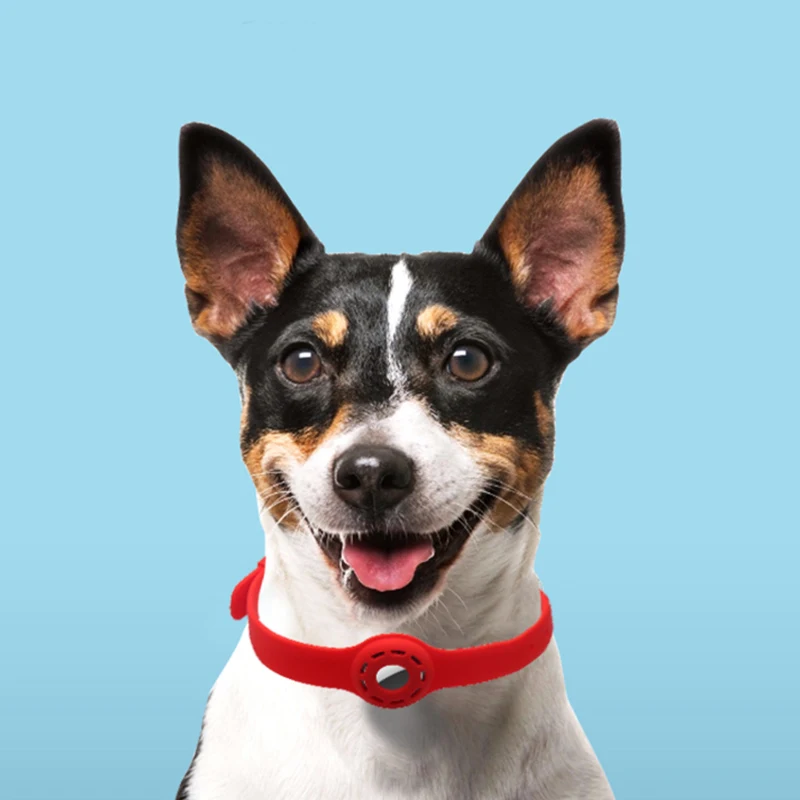 Title 27, Protective Sleeve Collar for Cats Pet Lead Appl...