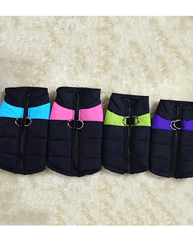 Image product - 2