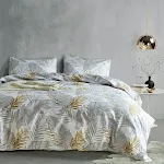 Hh