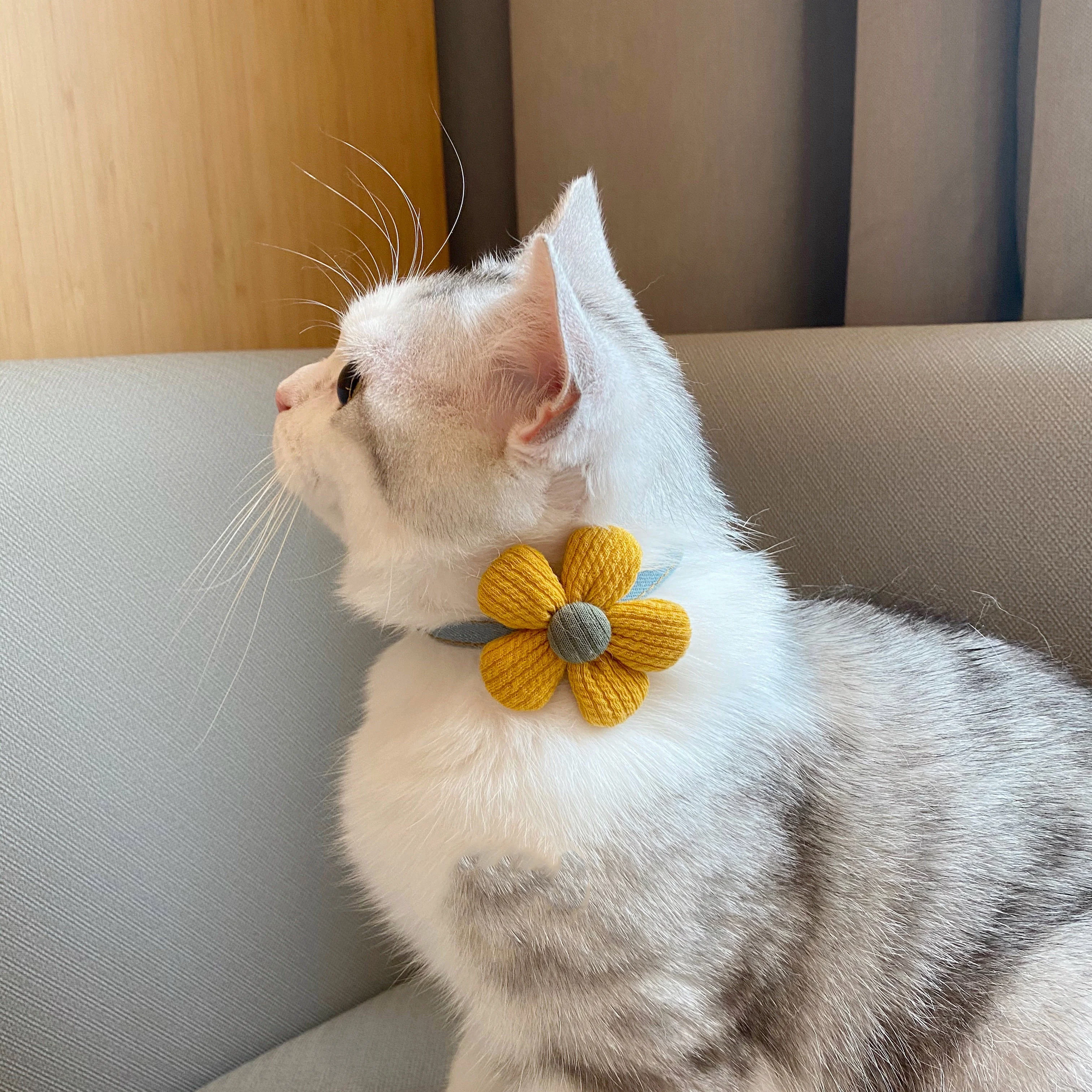 Title 5, Kitten Floral Bow Tie Collar, adorable and safe...