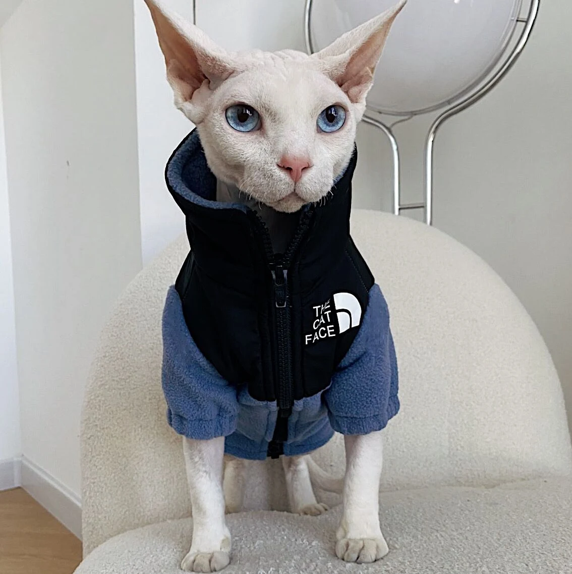Ropa Cálida para Gatos Sin Pelo Abrígate a tu Felino con Prendas Cómodas y Abrigadas. Mantén a tu Gato Sphynx Caliente y Feliz. — foto 10