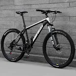 Black Spoke wheel