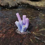miniatures image - 2