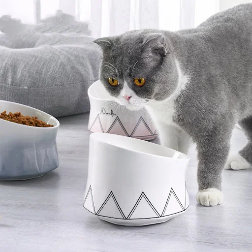 Title 1, Cat and dog food pot. Keeps food fresh and airt...