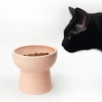 miniatures image - 0