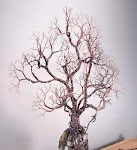 miniatures image - 0