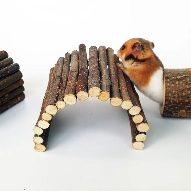 Hamster Escape Tunnel Fun and Enrichment for Your Pet Rodent Safe Exploration and Playtime Encourages Exercise and Curio — photo 4