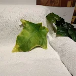 miniatures image - 26